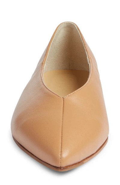 Aeyde Pointed-toe Leather Ballerina In Hazelnut