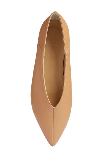 Aeyde Pointed-toe Leather Ballerina In Hazelnut
