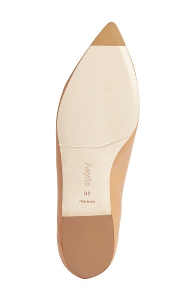 Aeyde Pointed-toe Leather Ballerina In Hazelnut