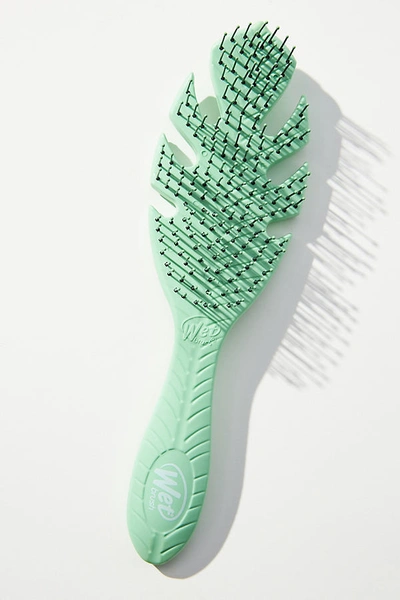 Shop Wet Brush Go Green Detangler In Mint