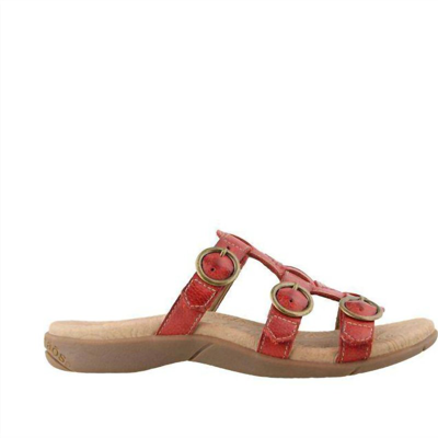 Shop Taos Women's Good Times Sandal In Red