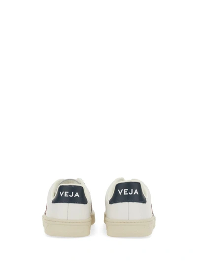 Shop Veja Sneaker V-12 In White