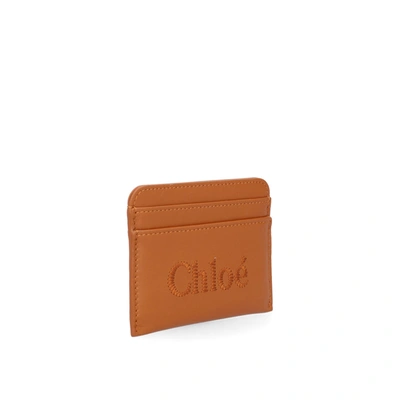 Shop Chloé Chloe'  Card Holder