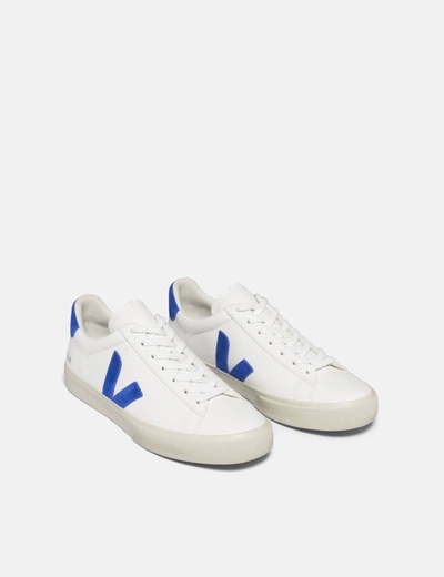 Shop Veja Campo Trainers (cf Leather) In White