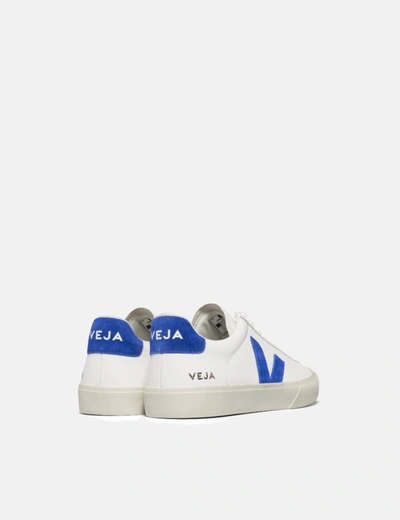 Shop Veja Campo Trainers (cf Leather) In White