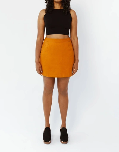 Shop Aam The Mini Skirt In Rust In Multi