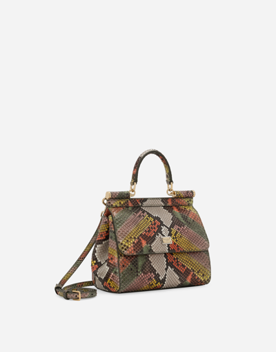 Dolce & Gabbana Borsaspalla-tracolla In Green