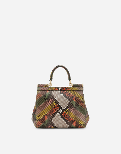 Dolce & Gabbana Borsaspalla-tracolla In Green