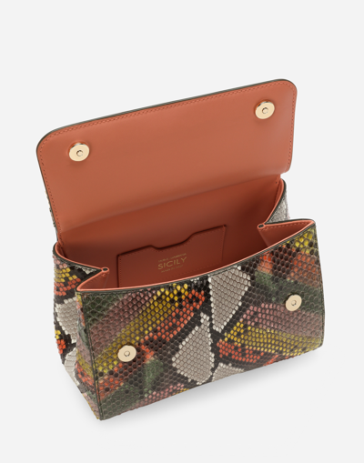 Dolce & Gabbana Borsaspalla-tracolla In Green