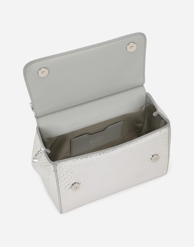 Dolce & Gabbana Borsaspalla-tracolla In Silver