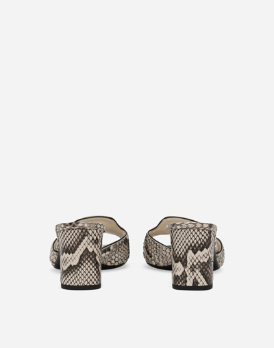 Dolce & Gabbana Python Skin Mules In Grey