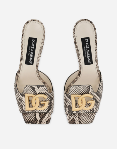 Shop Dolce & Gabbana Python Skin Mules In Grey