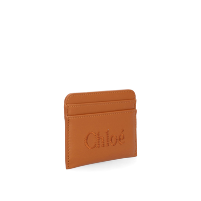 Shop Chloé Chloe'  Card Holder