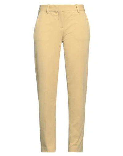 Shop Circolo 1901 Woman Pants Sand Size 10 Cotton, Lycra In Beige