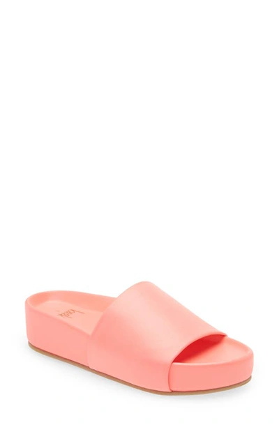 Shop Beek Pelican Platform Slide Sandal In Watermelon