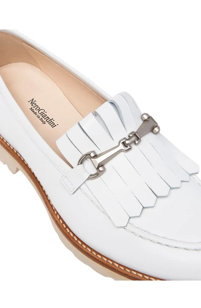 Shop Nerogiardini Kiltie Bit Loafer In White