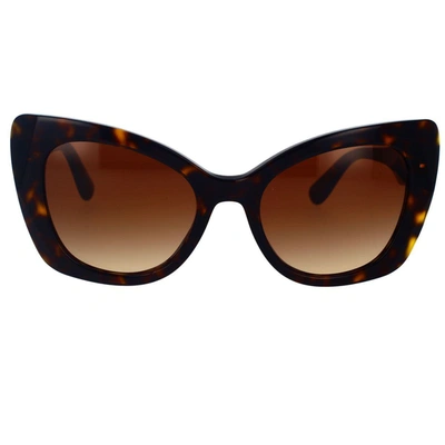 Shop Dolce & Gabbana Eyewear Sunglasses In Havana