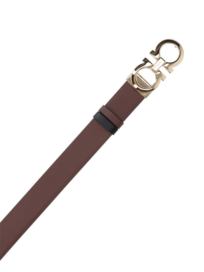 Shop Ferragamo Belts In Brown