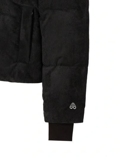 Shop Moose Knuckles Coats In Black
