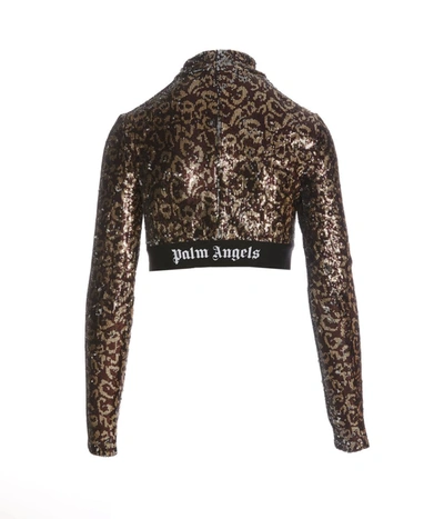 Shop Palm Angels Sweaters In Brown