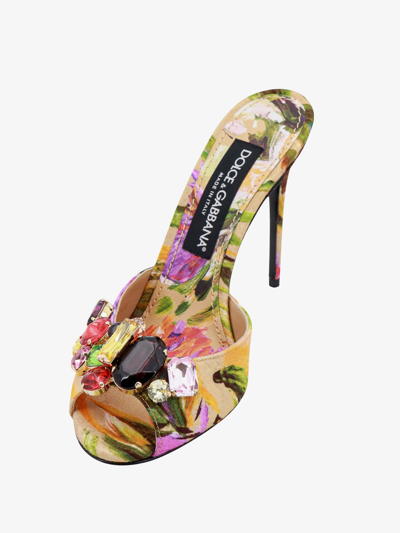 Shop Dolce & Gabbana Woman Sandals Woman Multicolor Sandals