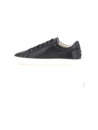 Shop Tod's Sneakers In Nero