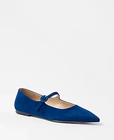 Shop Ann Taylor Suede Mary Jane Flats In Navy Blue