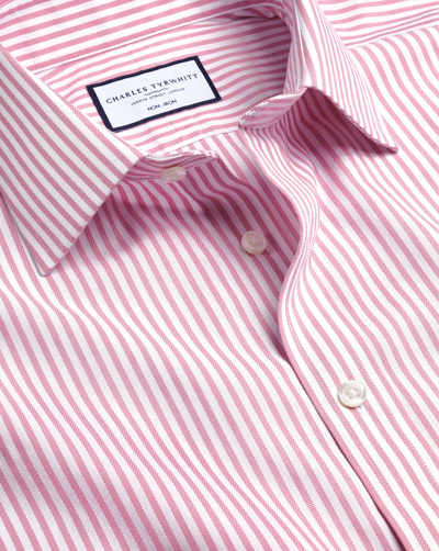 Shop Charles Tyrwhitt Men's  Non-iron Royal Oxford Butcher Stripe Dress Shirt In Pink