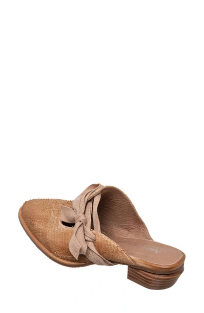 Antelope Ladee Mule In Stone Leather