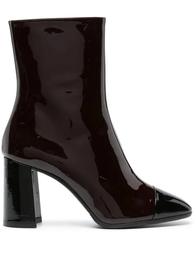 Shop Carel Paris Ankle Boots Brown In Black