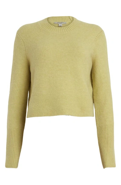 Allsaints Wick Wool Blend Crop Sweater In Pistachio Green