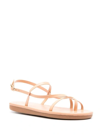 Ancient Greek Sandals Alethea Flip Flop Sandal In Brown