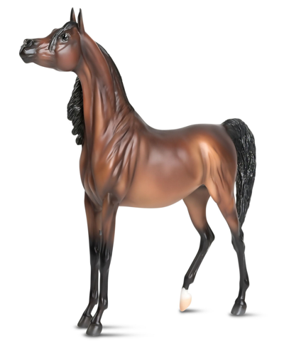 Shop Breyer Horses Rd Marciea Bey, Champion Arabian In Multi