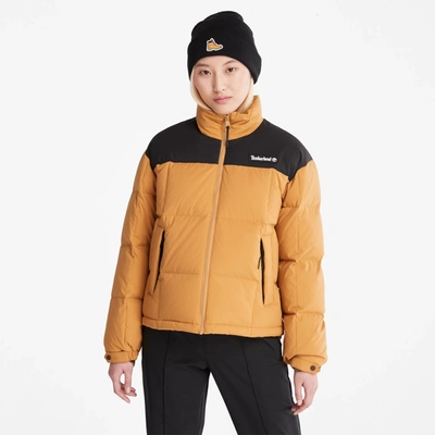 Shop Timberland Women's Oversize Re:down Insulation Puffer Jacket In Yellow