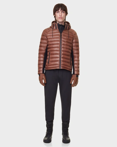 Rudsak Louis In Multi