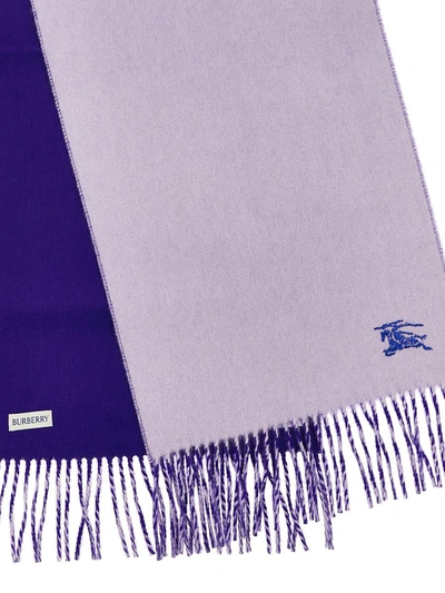 Shop Burberry 'equestrian Knight Design' Scarf In Purple