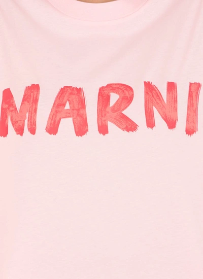 Shop Marni T-shirts And Polos Pink