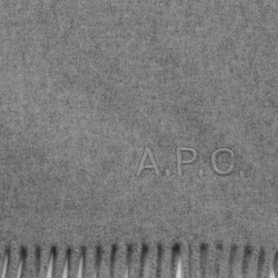 Shop Apc A.p.c. Ambroise Brodée Scarf In Grey