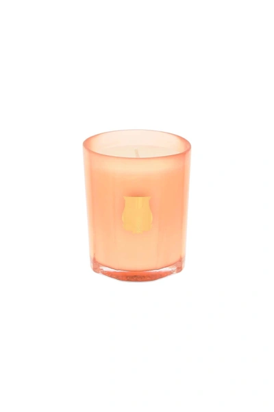 Shop Cire Trvdon 'tuileries' Scented Candle 70 G In Orange