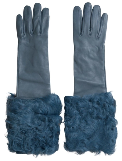 Shop Dolce & Gabbana Blue Leather Fur Mid Arm Length Gloves