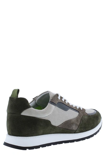 Shop Zanzara Plata Sneaker In Olive