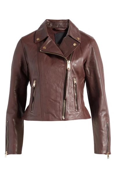 Shop Allsaints Neve Leather Moto Jacket In Oxblood Red