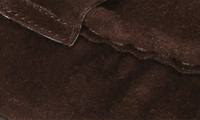 Sam Edelman Lucca Bit Loafer Pinto Brown Leather In Pinto Brown