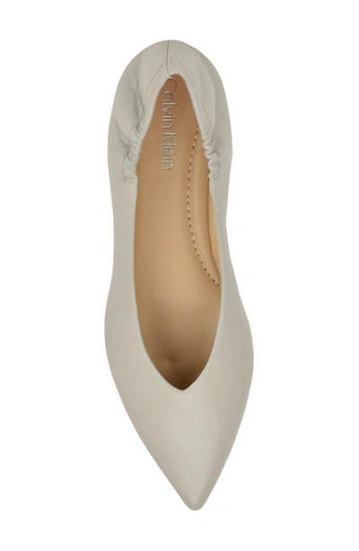Shop Calvin Klein Saylory Pointed Toe Flat In Light Grey