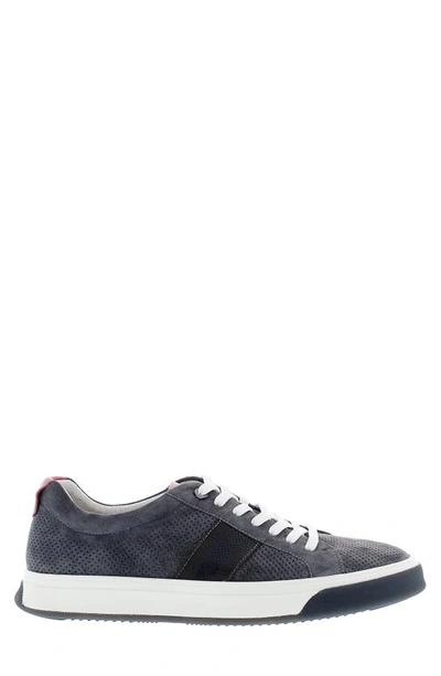 Shop Zanzara Donatello Low Top Sneaker In Grey