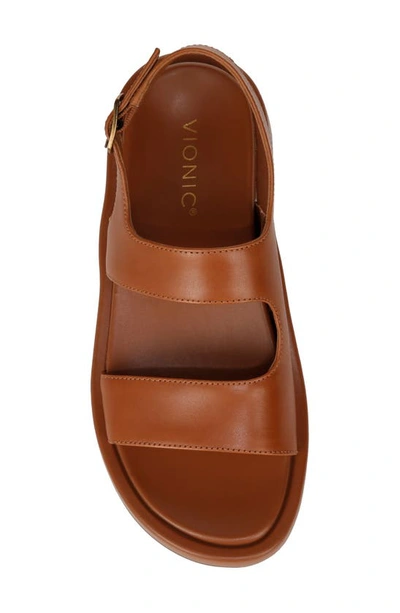 Shop Vionic Madera Sandal In Tan