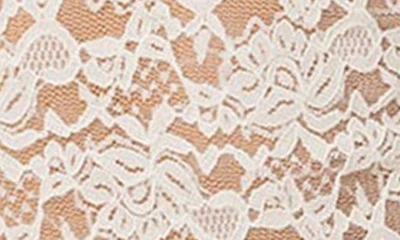 Edikted Women's Estella Sheer Lace Top In Cream