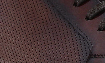 Shop Zanzara Havana Perforated Leather Sneaker In Cognac