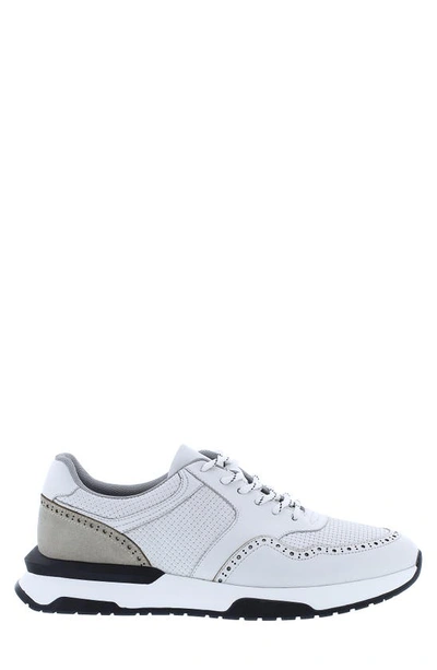 Shop Zanzara Romana Brogued Sneaker In White