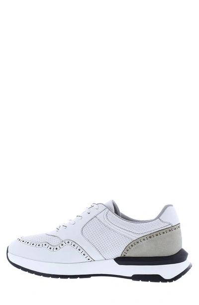 Shop Zanzara Romana Brogued Sneaker In White